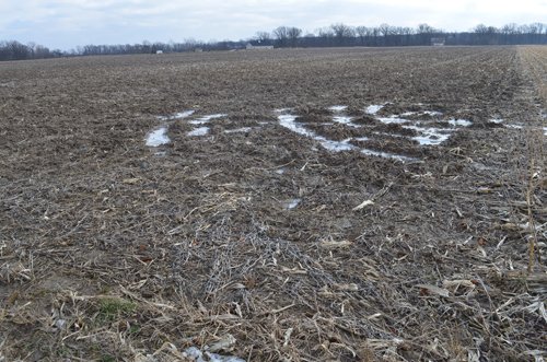 Property photo 14 - East Allen County Land Auction - 40 Acres in 2 Tracts